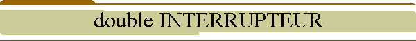 double INTERRUPTEUR